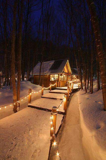 lighted walkway through the snow
