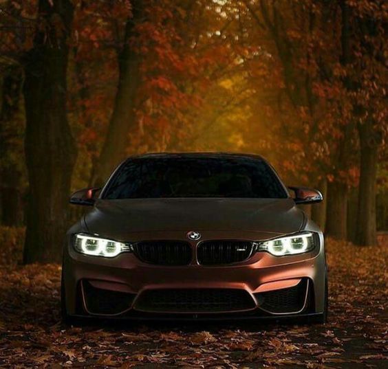 bmw in fall colors