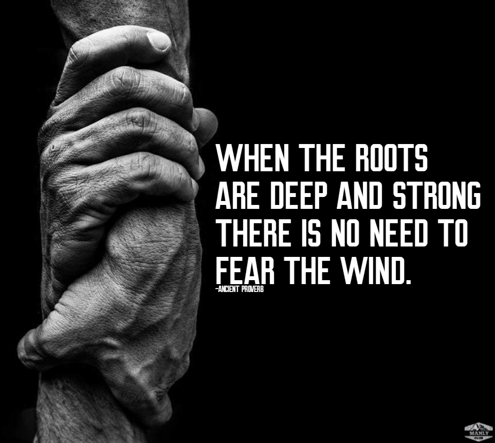 when the roots are deep and strong there is no need to fear the wind