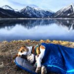 cat and dog sleeping in sleeping bag near mountain lake