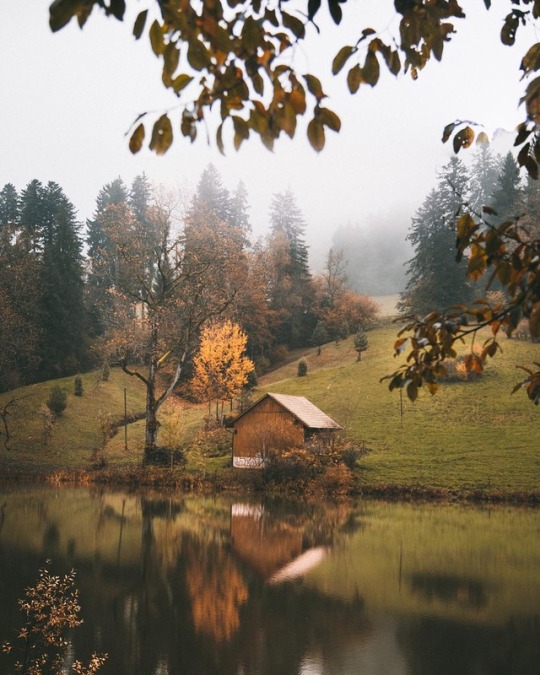 fall cabin lake