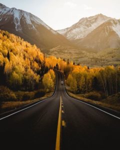 fall tree lined road into mountains