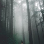 man standing among redwoods and fog