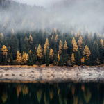 misty morning on lake with trees