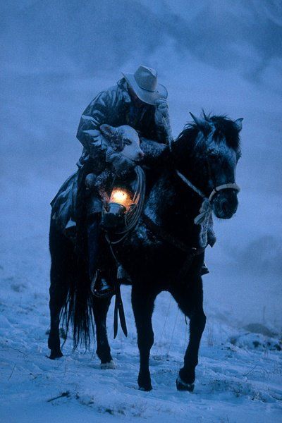 cowboy rescue in snow