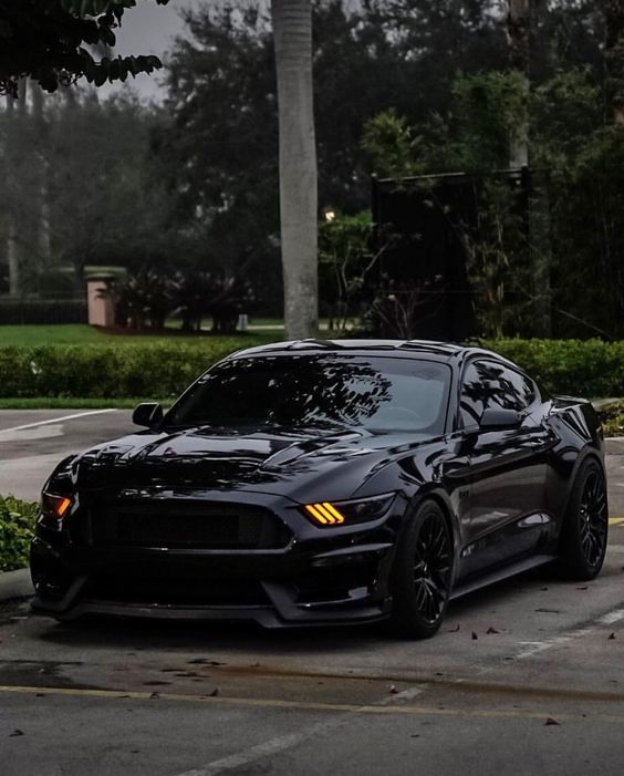 blacked out mustang