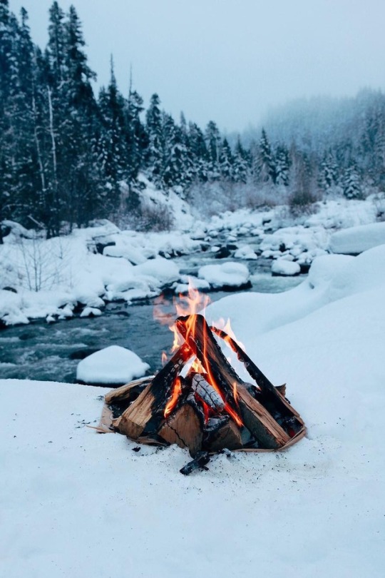 campfire in the snow