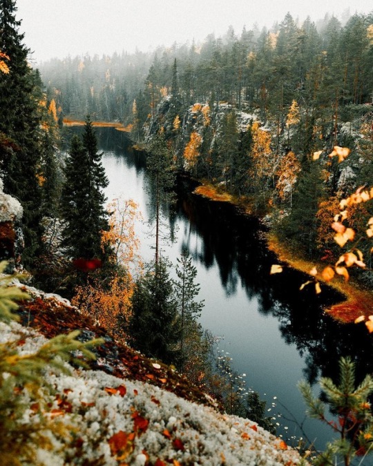 fall trees and river