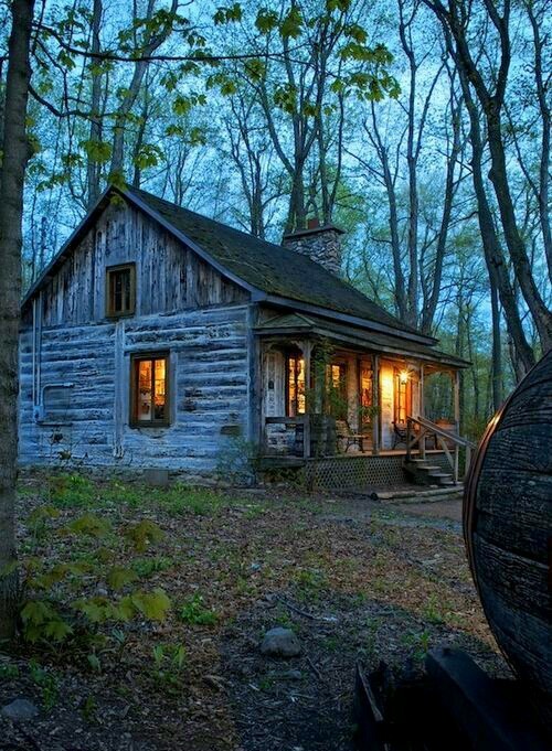 old cabin in the woods