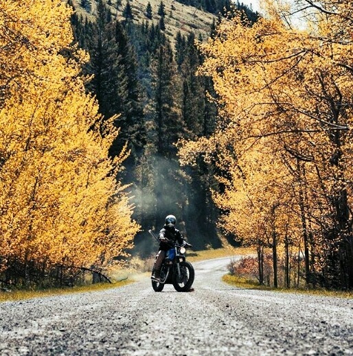 man on motorcycle in fall