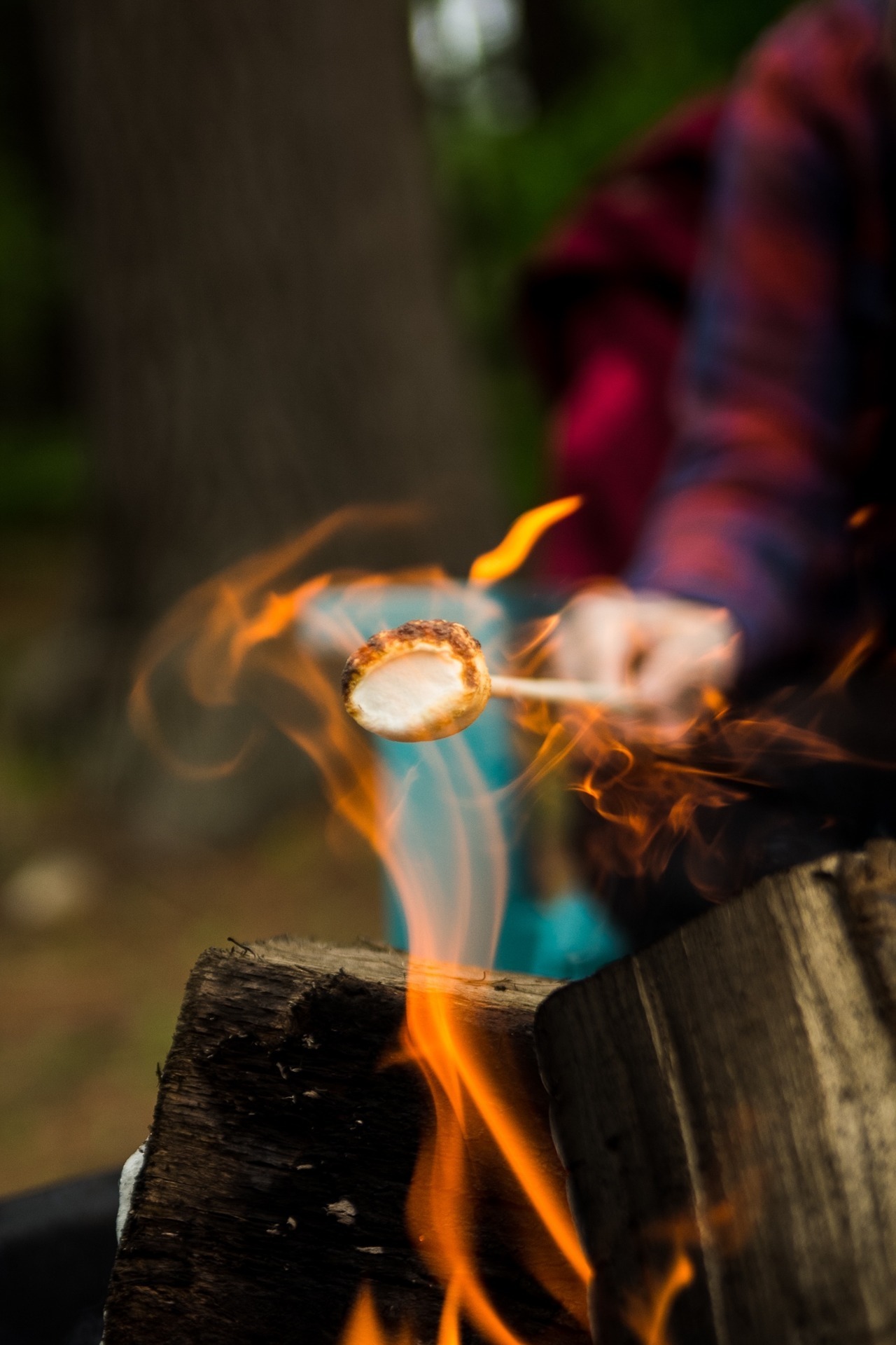 roasting a marshmallow