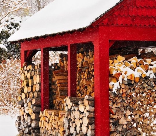 red wood shed with wood