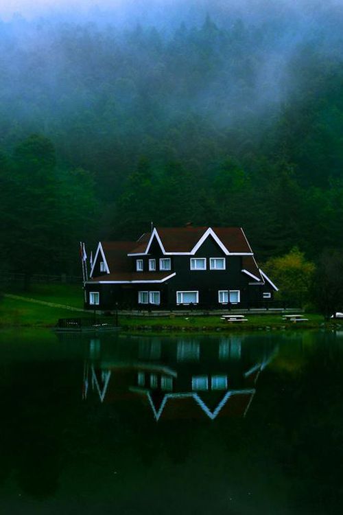 misty green mountain home