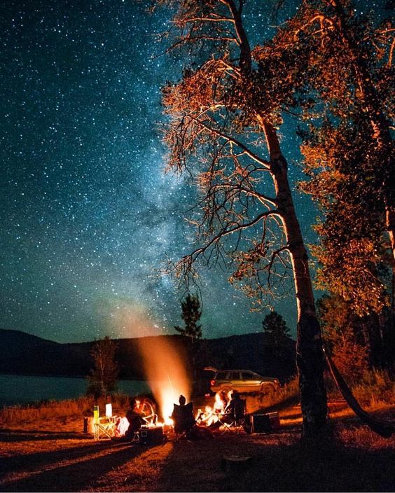 summer night campfire