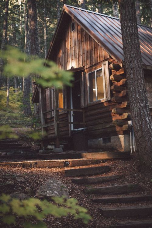 hidden cabin