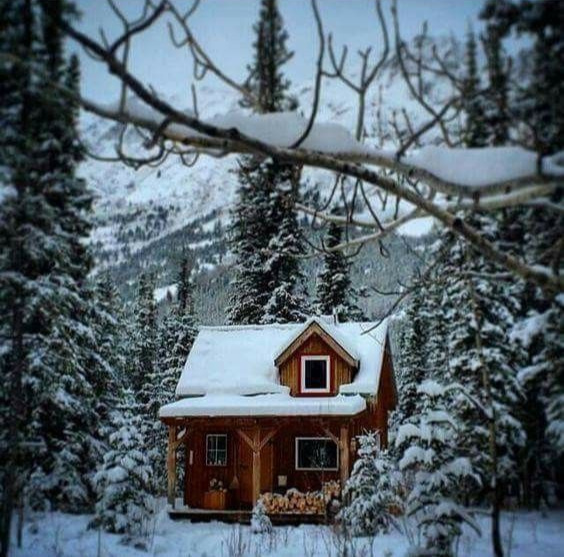 a secluded cabin in the snow