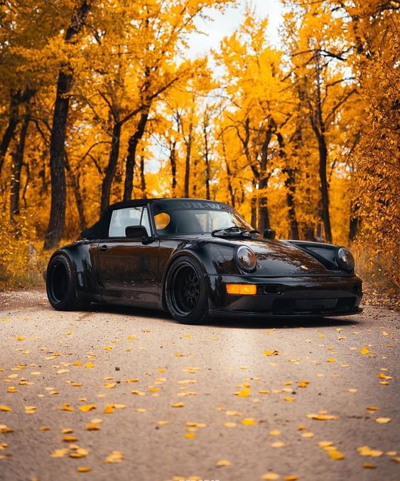 black porsche with fall trees
