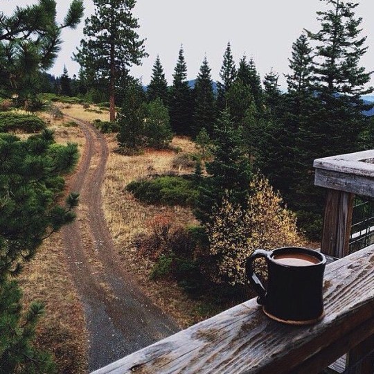 cup of coffee on porch of mountain cabin