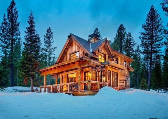 cabin in the snow