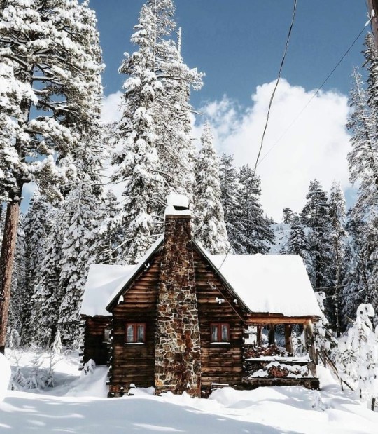 cabin in winter