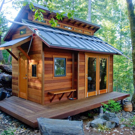 tiny cabin in the woods