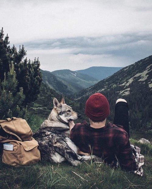 man and dog admiring mountain view