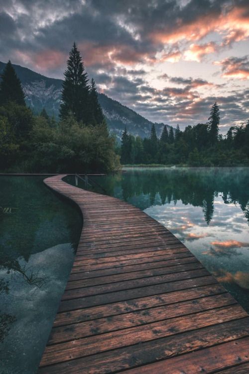 wooden path across lake