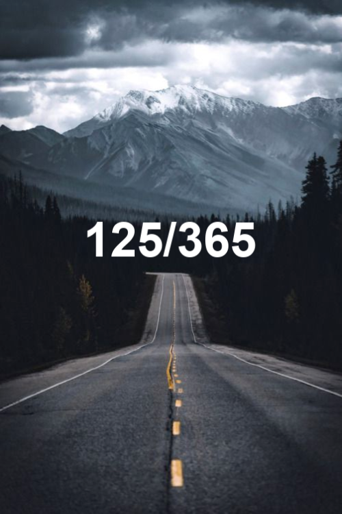 day 125 of the year 2019