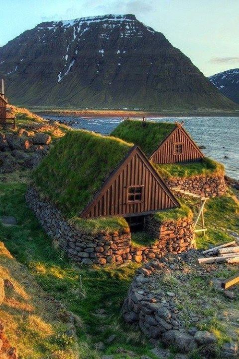 grass roof cabin huts