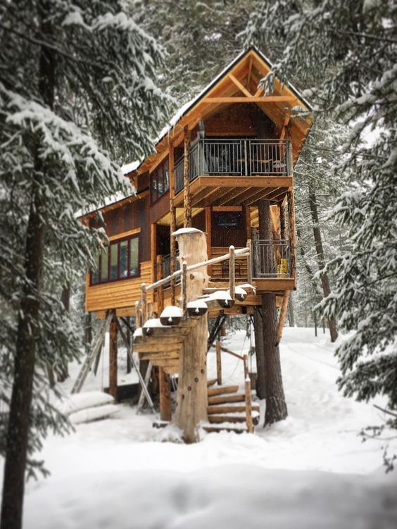 elevated cabin
