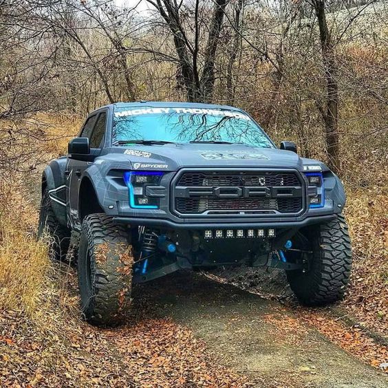 ford raptor in the wilderness