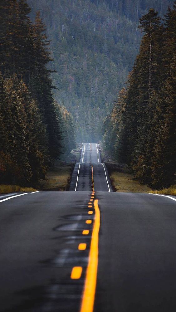 long road through the mountains