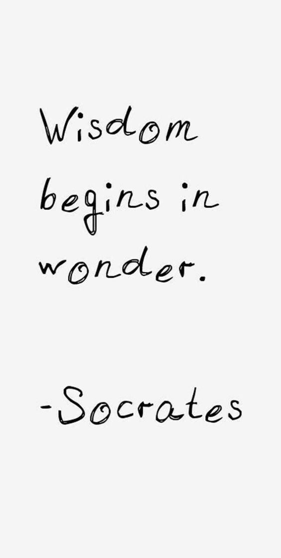 wisdom begins in wonder