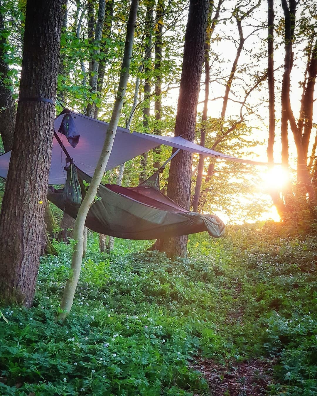 camp hammock