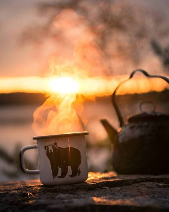 bear coffee mug and sunrise