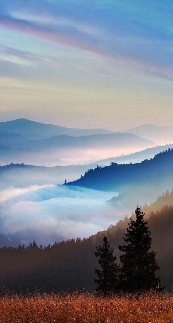 misty mountain morning