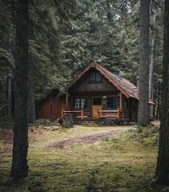 rustic cabin tucked away in the woods