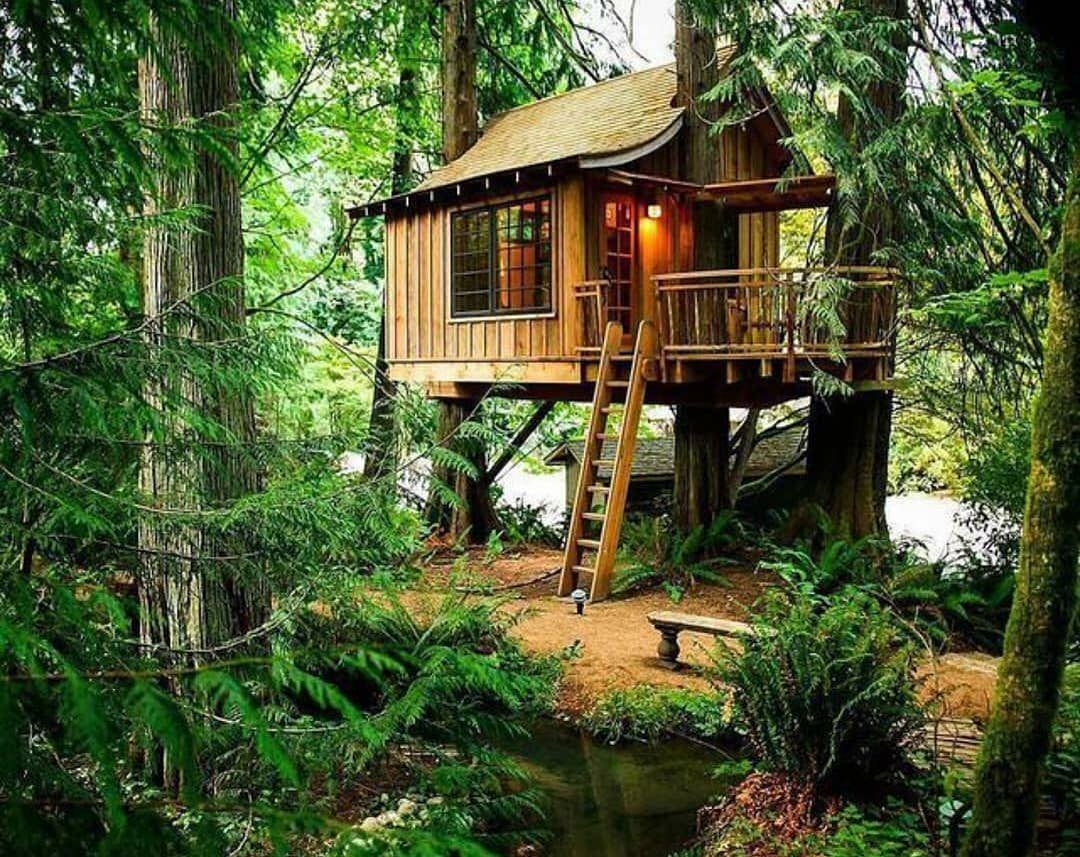 treehouse in the woods