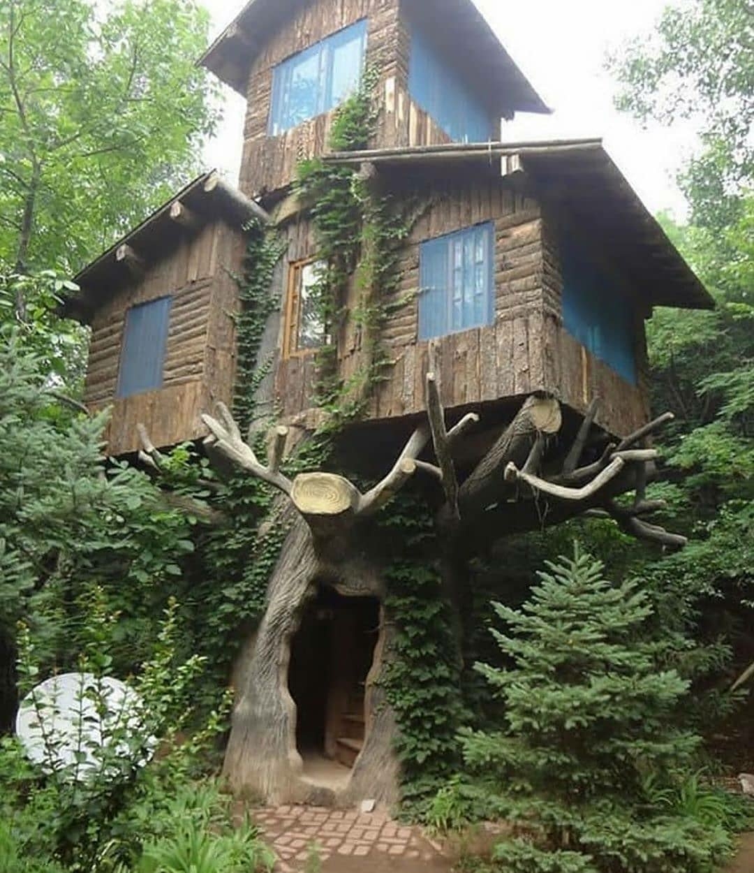 stunning treehouse