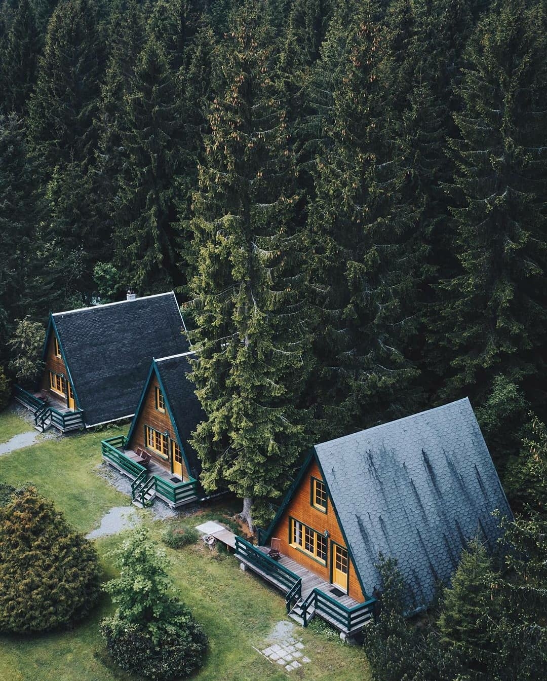 cabins in the woods