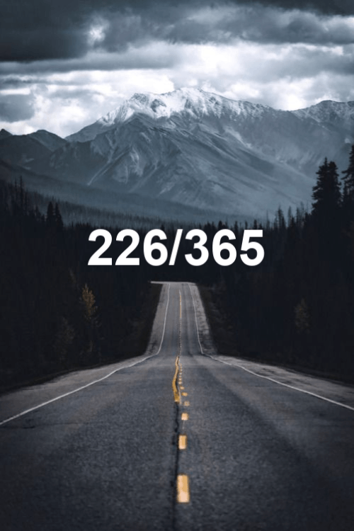 today is day 226 of the year 2019