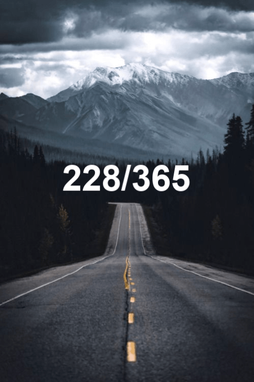 today is day 228 of the year 2019