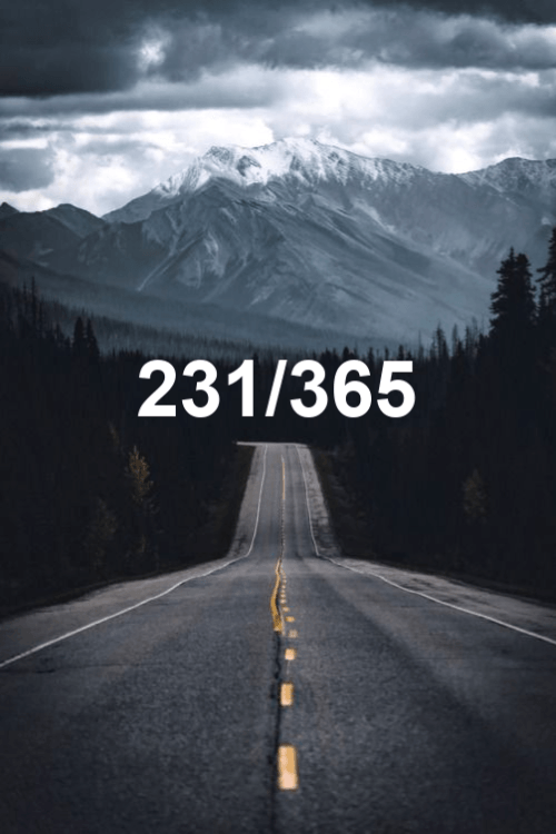 today is day 231 of the year 2019