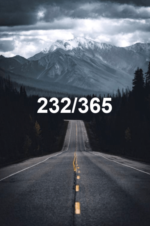 today is day 232 of the year 2019