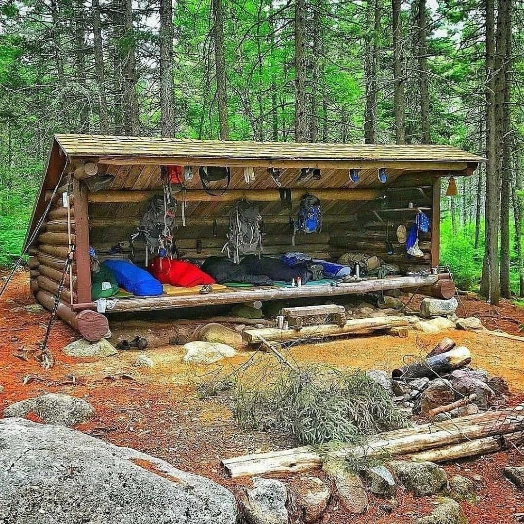 shed in the woods