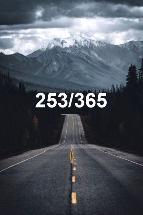today is day 253 of the year 2019