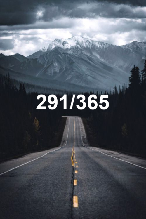 today is day 291 of the year 2019