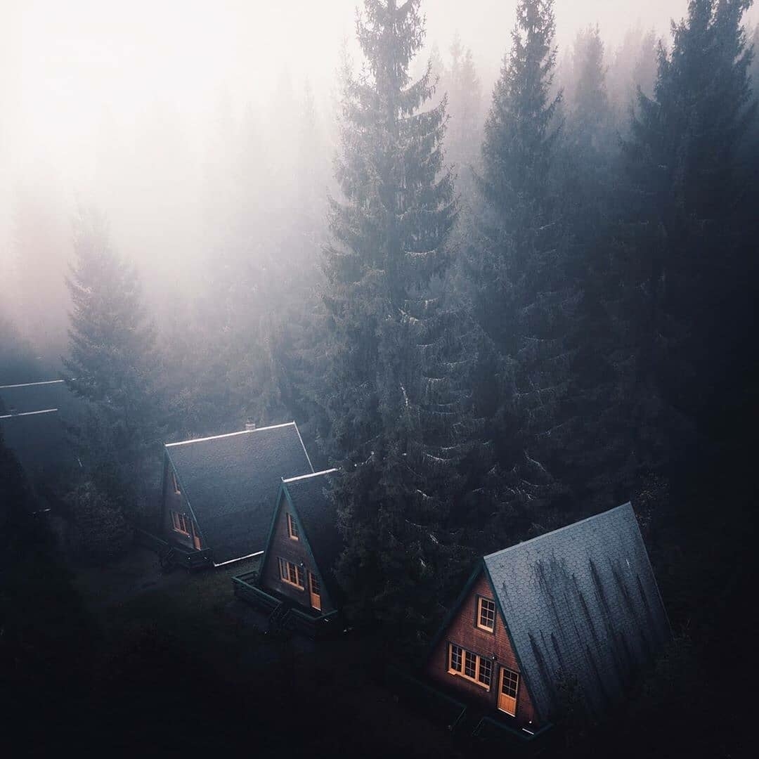 cabins in the mist