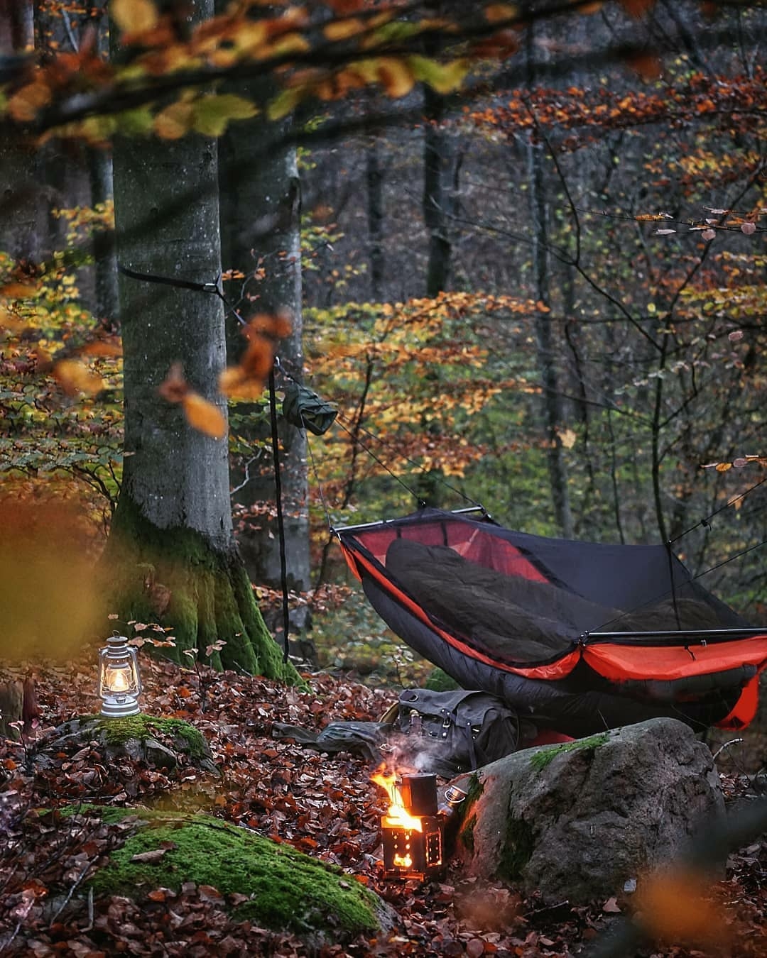 campsite in the woods