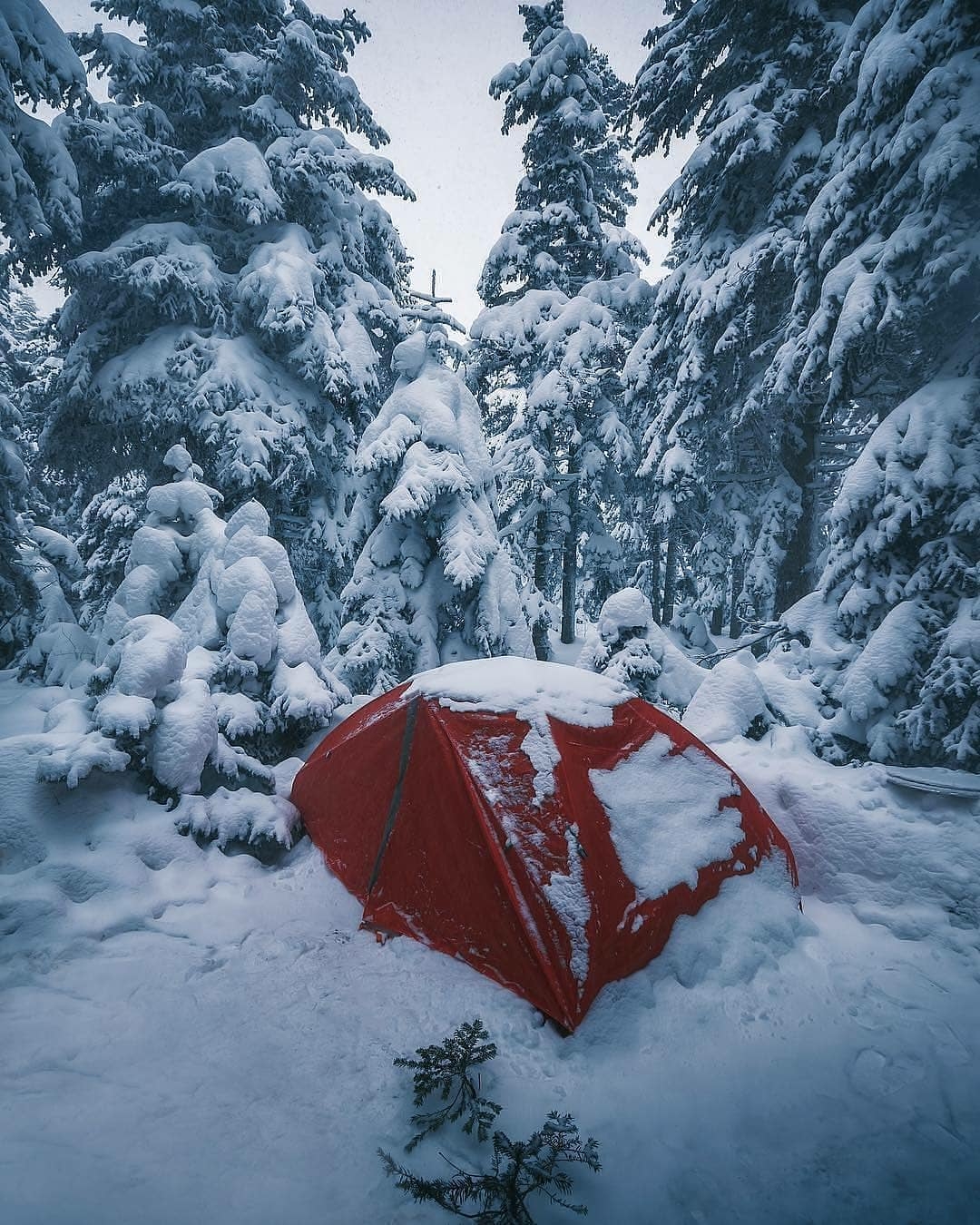 tent in the snow